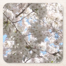 Cherry Blossom paper onderzetters