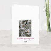 Cherry Blossom Paster Feestdagen Kaart (Achterkant)