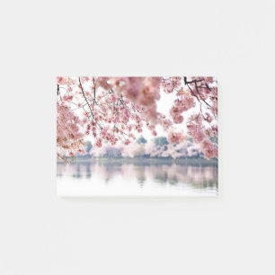 Cherry Blossom Post-it® Notes