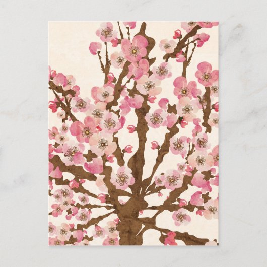 Cherry blossom Postcard Briefkaart (Voorkant)