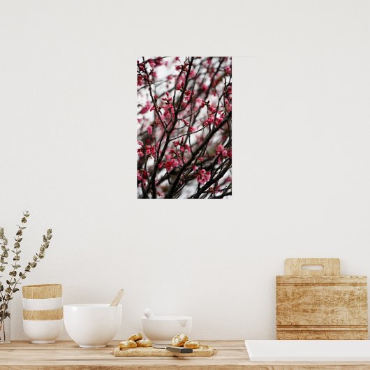 Cherry Blossom Poster (Keuken)