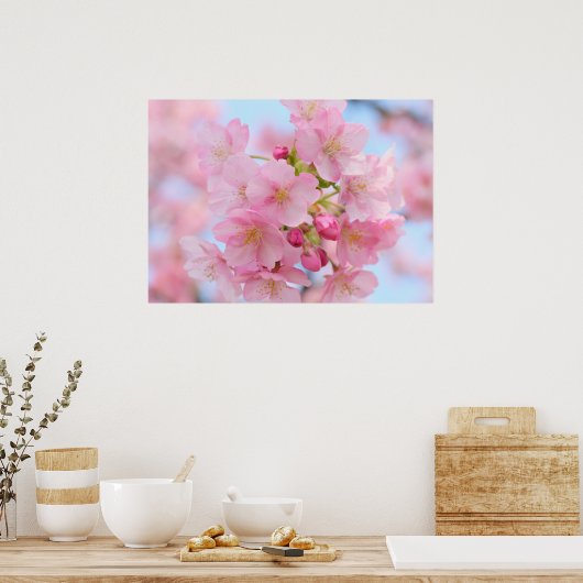 Cherry blossom poster (Keuken)