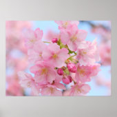Cherry blossom poster (Voorkant)
