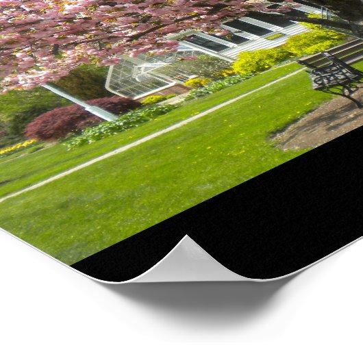 Cherry Blossom Poster (Hoek)