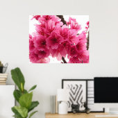 Cherry blossom poster (Thuiskantoor)