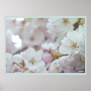 Cherry Blossom Print White Flower Poster Print