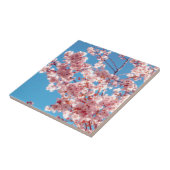 Cherry Blossom Sakura Flower Tree Tegeltje (Zijkant)