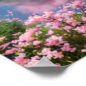 Cherry Blossom Serenade Poster (Hoek)