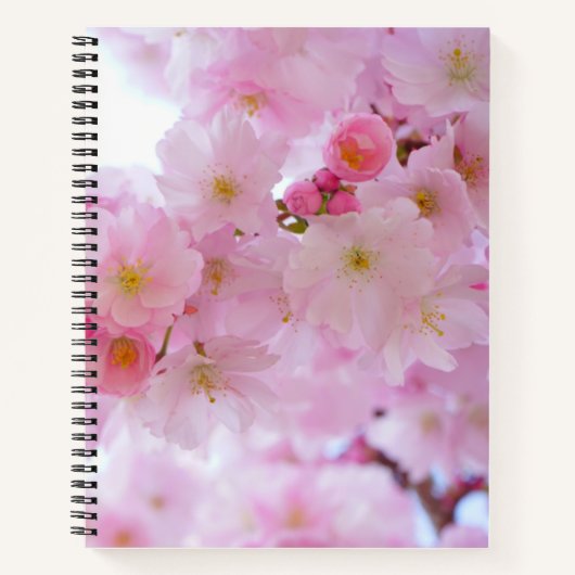 Cherry blossom Spiral Notitieboek (Voorkant)