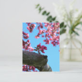 Cherry Blossom Sprig Briefkaarten (Staand voorkant)
