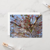 Cherry Blossom Spring Wenskaart Kaart (Voorkant / Achterkant in situ)