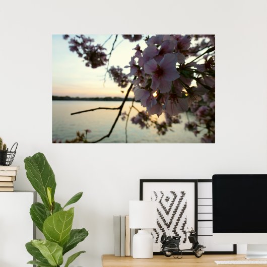 Cherry Blossom Sunset in Washington DC Poster (Thuiskantoor)