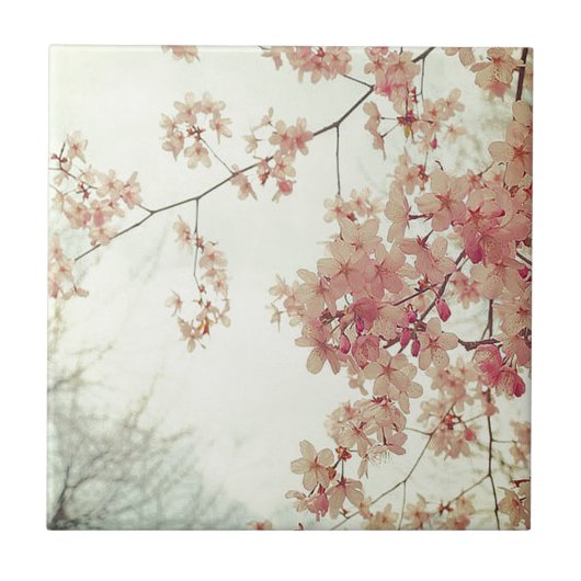 Cherry Blossom Tegeltje (Voorkant)