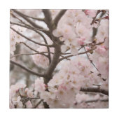 Cherry Blossom Tegeltje (Voorkant)