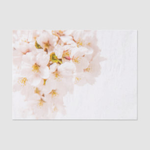 Cherry Blossom Tissue Paper Tissuepapier