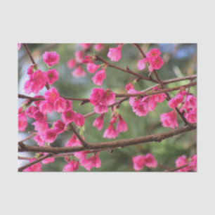 Cherry Blossom Tissuepapier