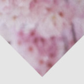 Cherry Blossom Tissuepapier (Detail)