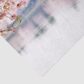 Cherry Blossom Tissuepapier (Detail)