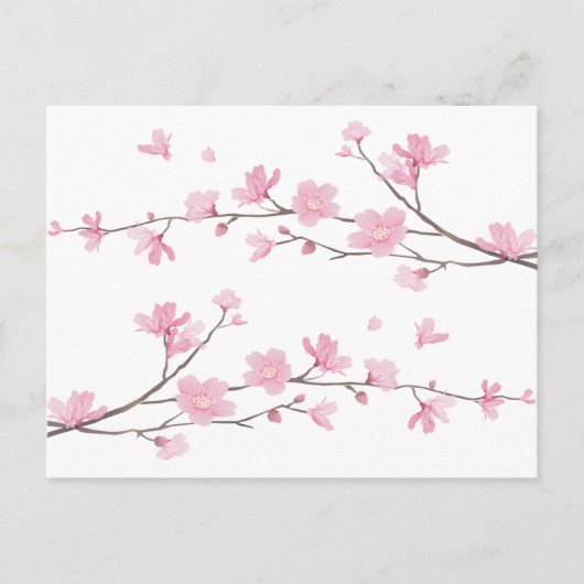 Cherry Blossom - Transparent-Background Briefkaart (Voorkant)