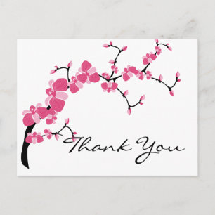 Cherry Blossom Tree Branch  Briefkaarten