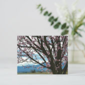 Cherry Blossom Tree Briefkaart (Staand voorkant)