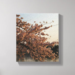 Cherry Blossom Tree Canvas Afdruk