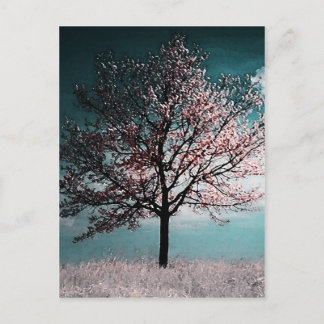 Cherry Blossom Tree Painting - Dusk Briefkaart