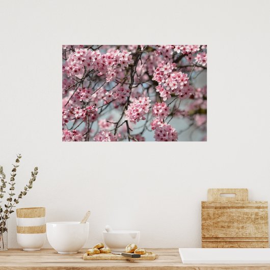 Cherry Blossom Tree Poster (Keuken)