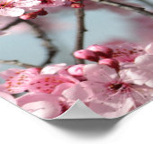 Cherry Blossom Tree Poster (Hoek)
