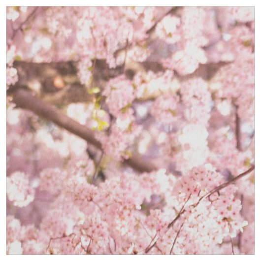 Cherry Blossom Trees Stof (Swatch)