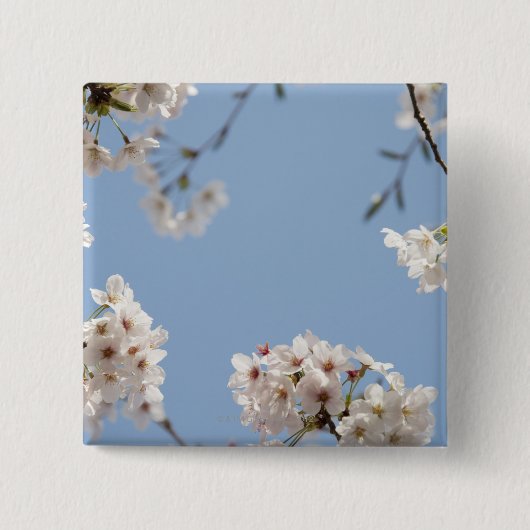Cherry blossom vierkante button 5,1 cm (Voorkant)