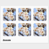 Cherry Blossom Vierkante Sticker (Vel)