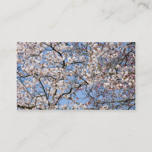Cherry Blossom Visitekaartje
