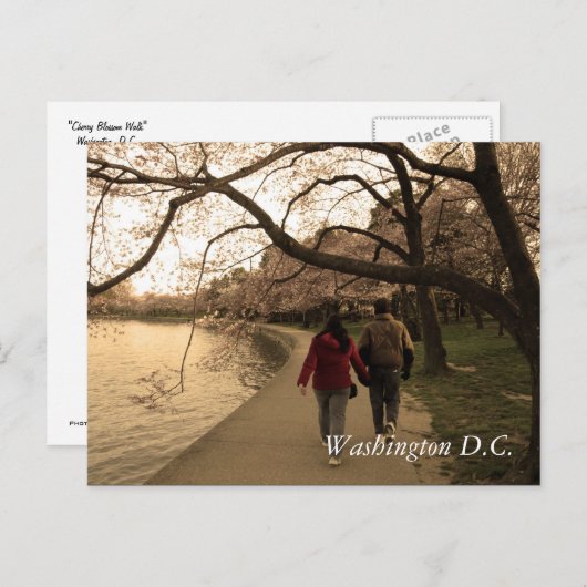 Cherry Blossom Walk Briefkaart (Voorkant / Achterkant)