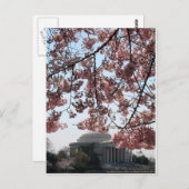 Cherry Blossom Washington DC Briefkaart (Voorkant / Achterkant)