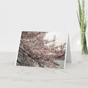 Cherry Blossom Washington DC Kaart