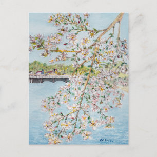 Cherry Blossom Washington DC Painterly Waterverf Briefkaart