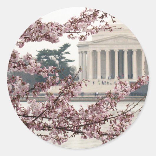 Cherry Blossom Washington DC Ronde Sticker (Voorkant)