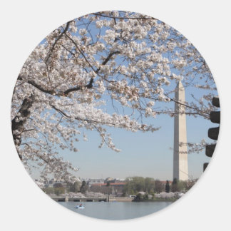 Cherry Blossom Washington DC Ronde Sticker