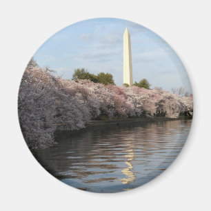 Cherry Blossom Washington monument Magneet