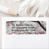 Cherry Blossoms 10 Label (Insitu)