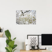 Cherry Blossoms 12 Poster (Bureau à domicile)