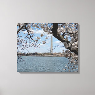 CHERRY BLOSSOMS #1 OP CANVAS 20 "x 16" Afdruk
