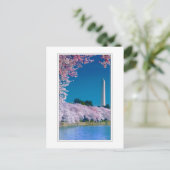Cherry Blossoms en het Washington Monument Briefkaart (Staand voorkant)