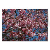 Cherry Blossoms et Blue Sky Spring Floral (Devant horizontal)