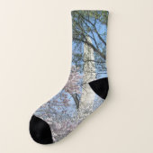 Cherry Blossoms et le monument de Washington à DC (Gauche - extérieur)