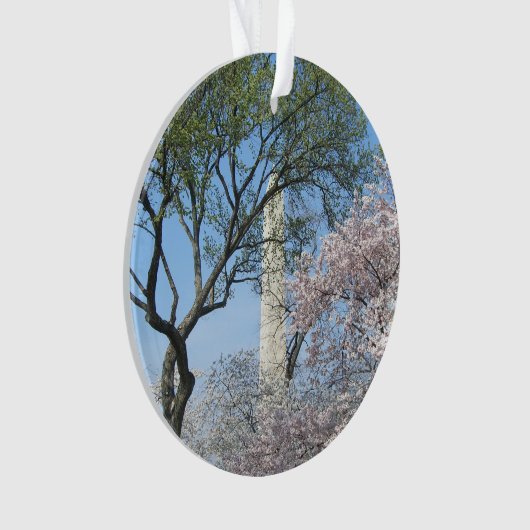 Cherry Blossoms et le monument de Washington à DC (devant)
