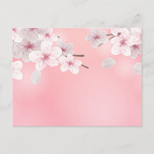 Cherry Blossoms Floral Background Flower Briefkaart (Voorkant)