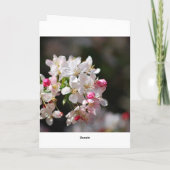 Cherry blossoms Get Well Soon Kaart (Achterkant)