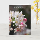 Cherry blossoms Get Well Soon Kaart (Gele Bloem)